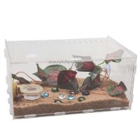 Custom wholesale acrylic tarantula feeding habitat AB-129 Custom wholesale acrylic tarantula feeding habitat AB-129