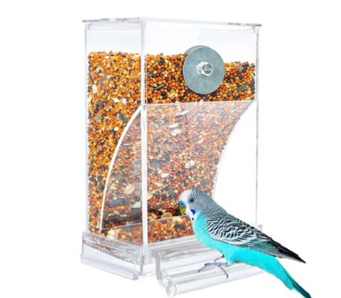 Wholesale custom acrylic automatic bird feeder
