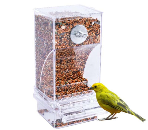 Wholesale custom acrylic automatic parrot feeder