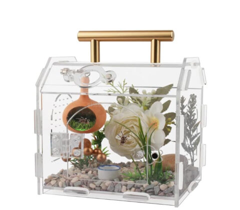 Wholesale custom acrylic spider enclosure