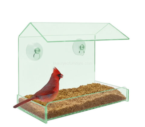 Custom acrylic bird feeder for viewing wild birds