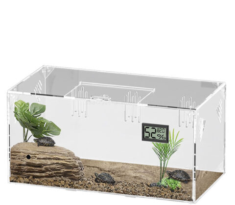 Custom acrylic reptiles feeding box