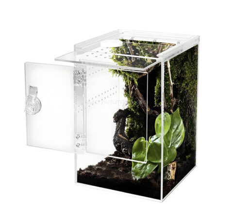 Custom acrylic jumping spider habitat