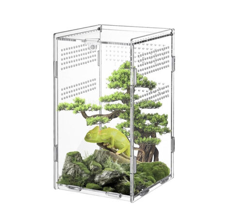 Custom acrylic geckos habitat