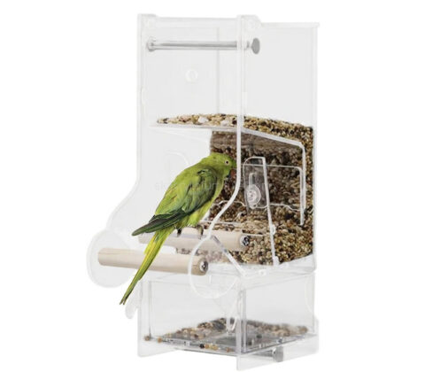 Custom acrylic automatic small bird feeder