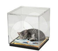 Custom acrylic end table cat dog crate AB-274 Custom acrylic end table cat dog crate