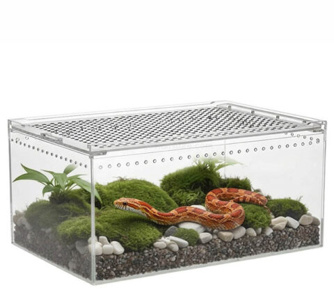 Custom acrylic snake reptile feeding case