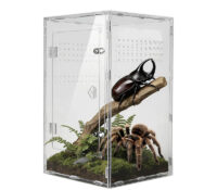 Custom acrylic insect breeding box AB-280 Custom acrylic insect breeding box