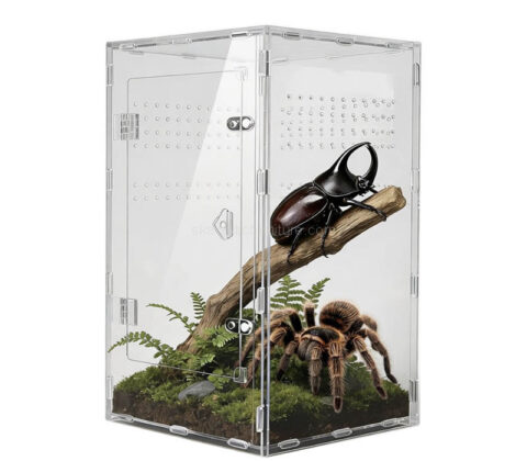 Custom acrylic insect breeding box