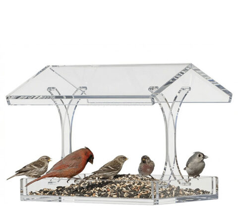 Custom acrylic platform bird feeder