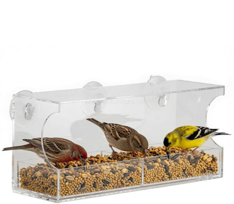 Custom acrylic wall hanging bird feeder